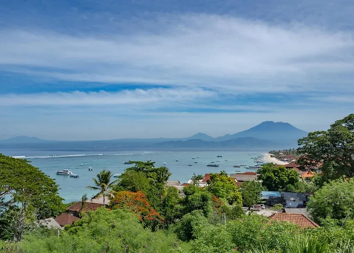 Tonic * Nusa Lembongan (Bali)